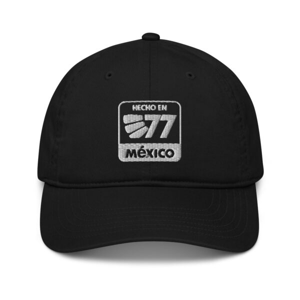 Made In Mexico - Organic dad hat